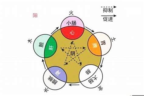 五行属什么怎么算|教你快速查自己的五行属性，入门篇（一看就会，一试就废）